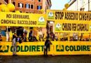 Coldiretti Calabria: l’operazione “Marchio” conferma l’attacco e la rapina alla DOP Economy calabrese