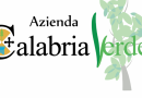 Calabria Verde”, il punto sulle forze antincendio in campo dopo la visita del ministro Patuanelli. La dichiarazione del commissario straordinario Giuseppe Oliva