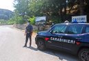 Castelsilano (KR): quattro persone arrestate per rissa da carabinieri.