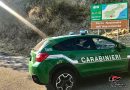 Approvato il Piano Operativo 2022 del Reparto PN Sila Carabinieri Forestali