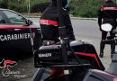 Carabinieri Reggio Calabria : Operazione Mala pigna – I DETTAGLI.