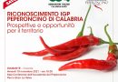 Igp al Peperoncino di Calabria. Prospettive e opportunità al centro dell’evento Cia