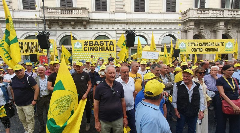Coldiretti Calabria ha partecipato alla manifestazione a Roma per fermare l’invasione dei cinghiali. Città e campagna unite contro i cinghiali