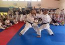 Il Karate mondiale a Reggio Calabria   