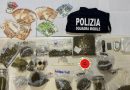 Marjuana, cocaina, hashish, droga sintetica e denaro sequestrati dalla Polizia di Stato a Crotone: in carcere un incensurato
