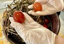 Laboratorio uova rosse Arbëresh a scuola: torna in vita un rito antico di comunità