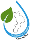Consorzio di Bonifica della Calabria, Giovinazzo: impegno massimo per assicurare l’acqua agli agricoltori