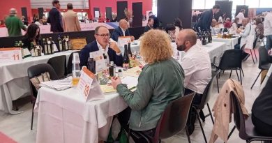 Inaugurazione della Borsa Internazionale del Turismo Culturale: Un Evento Strategico per la Calabria