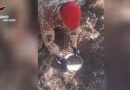 VIDEO – Scoperta Sotto Terra: I Carabinieri di Gioiosa Ionica Confiscano un Ingente Carico di Droga