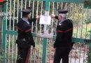 VIDEO – Sequestro di Depuratori a Belvedere Spinello: Scoperti Sversamenti di Acque Reflue Non Trattate