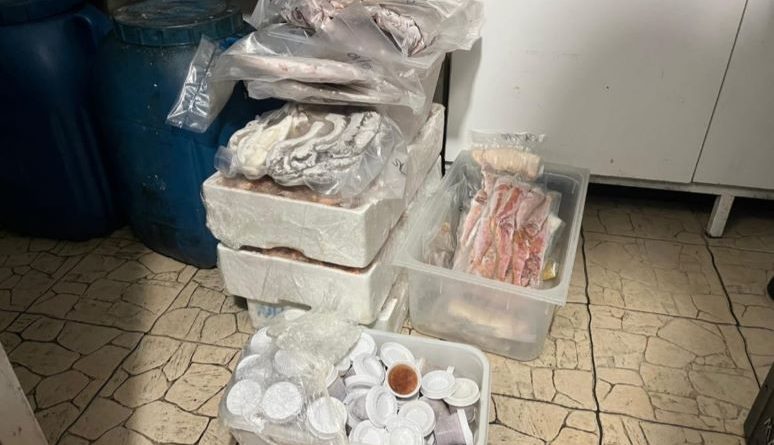 Sanzioni e Sequestri nella Lotta alla Pesca Illegale a Crotone