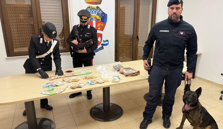 GIOIA TAURO: COCAINA E MARIJUANA NASCOSTE IN CASA E IN UN TERRENO. ARRESTATO UN UOMO GRAZIE AL FIUTO DEL CANE ANTIDROGA