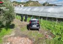 San Luca (RC): Scoperti 35 mila metri quadrati di serre abusive in area protetta: quattro denunce. Prelevavano illecitamente 25 mila metri cubi d’acqua al giorno