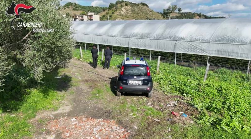 San Luca (RC): Scoperti 35 mila metri quadrati di serre abusive in area protetta: quattro denunce. Prelevavano illecitamente 25 mila metri cubi d’acqua al giorno San Luca (RC): Scoperti 35 mila metri quadrati di serre abusive in area protetta: quattro denunce. Prelevavano illecitamente 25 mila metri cubi d’acqua al giorno