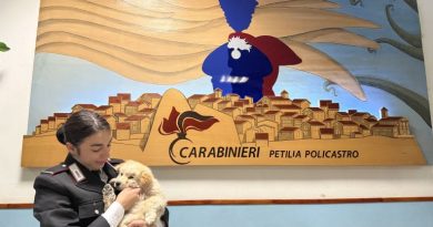 PETILIA POLICASTRO (KR): I CARABINIERI SALVANO UNA CUCCIOLA DI CANE SMARRITA A BORDO STRADA