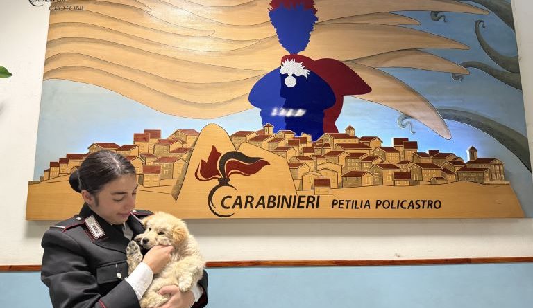 PETILIA POLICASTRO (KR): I CARABINIERI SALVANO UNA CUCCIOLA DI CANE SMARRITA A BORDO STRADA