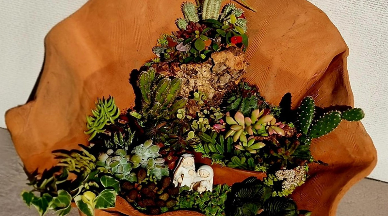 L’originale presepe vegetale da Badolato di Calabria a Vasto d’Abruzzo