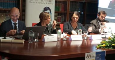 OTTIMA RIUSCITA DEL CONVEGNO DELLA CAMERA MINORILE DI PALMI: UN PASSO AVANTI PER LA TUTELA DEI MINORI E DELLE FAMIGLIE OTTIMA RIUSCITA DEL CONVEGNO DELLA CAMERA MINORILE DI PALMI: UN PASSO AVANTI PER LA TUTELA DEI MINORI E DELLE FAMIGLIE