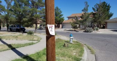 13 dicembre: giornata nazionale dedicata agli scomparsi 13 dicembre: giornata nazionale dedicata agli scomparsi