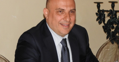 Reggio C. viale Calabria, alberi pericolanti: rischio di vita per cittadini e bambini. Ripepi chiede intervento immediato