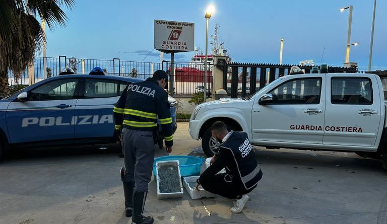 Crotone: Operazione interforze “Focus ‘Ndrangheta”, sequestrati 70 kg di prodotti ittici e sanzioni per 11.000 euro