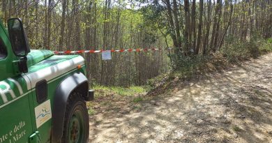 Sfregio al Parco della Sila: Cemento Armato su un’Area Già Sotto Sequestro