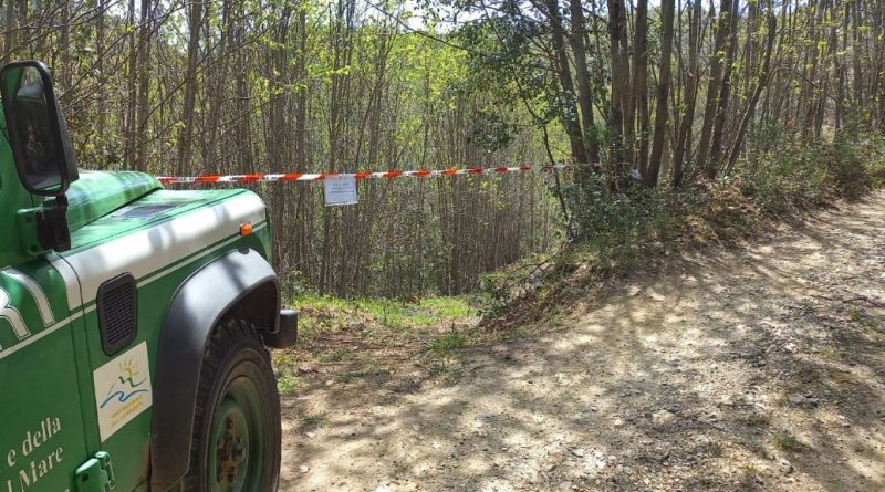 Sfregio al Parco della Sila: Cemento Armato su un’Area Già Sotto Sequestro