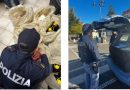 Maxi-operazione della Polizia a Crotone e Isola Capo Rizzuto: sequestrati oltre 80 kg di alimenti non tracciabili
