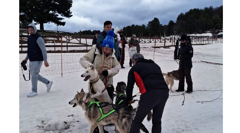 Dog on the Snow: due giornate indimenticabili tra neve, natura ed emozioni in Sila. Ultima tappa del progetto High Wellness South Italy