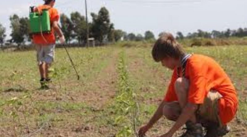 Beni confiscati, impegno estivo: la Calabria al centro di E!State Liberi 2026