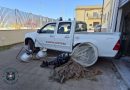 Retata notturna blitz della Guardia Costiera a Crotone: sequestrati 90 kg di novellame
