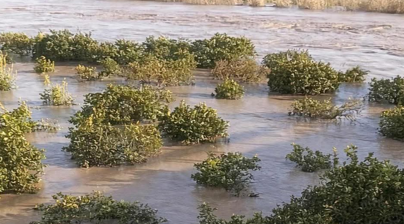 Il Capo della Protezione Civile Fabio Ciciliano in missione a Sibari: sopralluogo nelle aree alluvionate