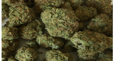 Blitz antidroga a Isola di Capo Rizzuto: arrestato 35enne con oltre 1,4 kg di marijuana