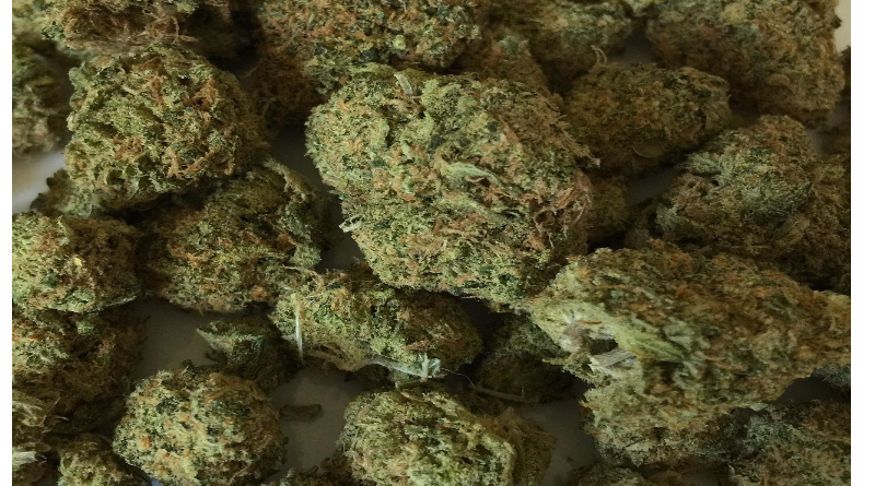 Blitz antidroga a Isola di Capo Rizzuto: arrestato 35enne con oltre 1,4 kg di marijuana