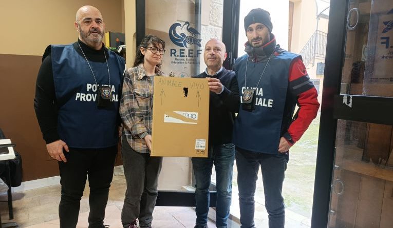 Collaborazione per la Fauna Selvatica: Un Nuovo Modello Operativo a Crotone