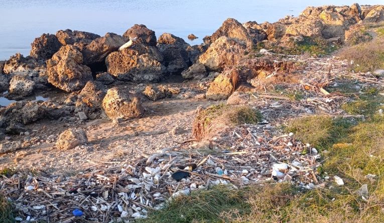 Capo Colonna sommersa dalla plastica, l’allarme del Circolo Ibis: “Servono interventi, non supplenze. Il volontariato non basta più”