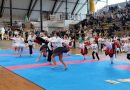 VIDEO – Taekwondo, un calcio alla guerra: al Palagallo di Catanzaro il campionato regionale nel segno della pace