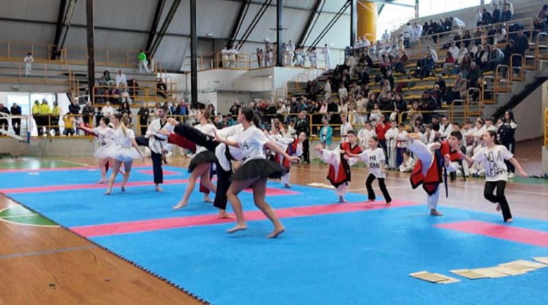 VIDEO – Taekwondo, un calcio alla guerra: al Palagallo di Catanzaro il campionato regionale nel segno della pace