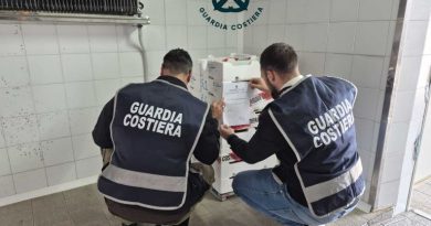 La Guardia Costiera di Crotone sequestra altri 100 kg di novellame