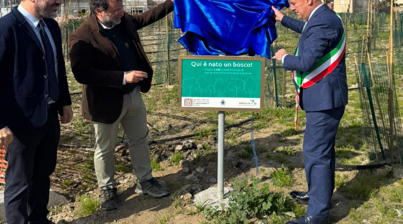Un Bosco per i Nuovi Nati: Crotone Inaugura un Polmone Verde da 2.200 Alberi nel Quartiere Tufolo