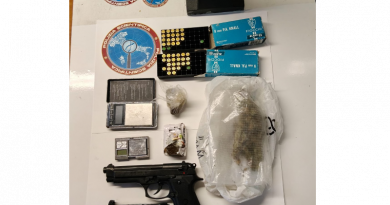 Droga, duro colpo allo spaccio: maxi-sequestro sulla costa e un arresto a Catanzaro