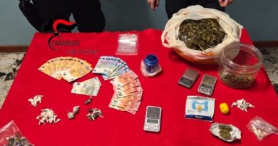 Roccabernarda (KR) – Operazione antidroga della Compagnia Carabinieri di Petilia Policastro: un arresto, un denunciato e ingenti sequestri di stupefacente
