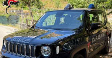 San Giorgio Morgeto (RC). rubano furgone ed escavatore del comune: i Carabinieri smascherano i presunti autori, due arresti