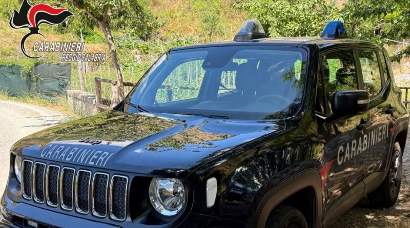 San Giorgio Morgeto (RC). rubano furgone ed escavatore del comune: i Carabinieri smascherano i presunti autori, due arresti
