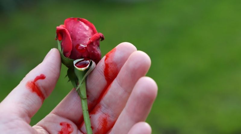 Dramma a Cotronei, colpisce il compagno alla testa: arrestata per maltrattamenti Dramma a Cotronei, colpisce il compagno alla testa: arrestata per maltrattamenti