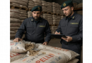 Pellet contraffatto, maxi sequestro tra Calabria e Salento: 250 tonnellate tolte dal mercato