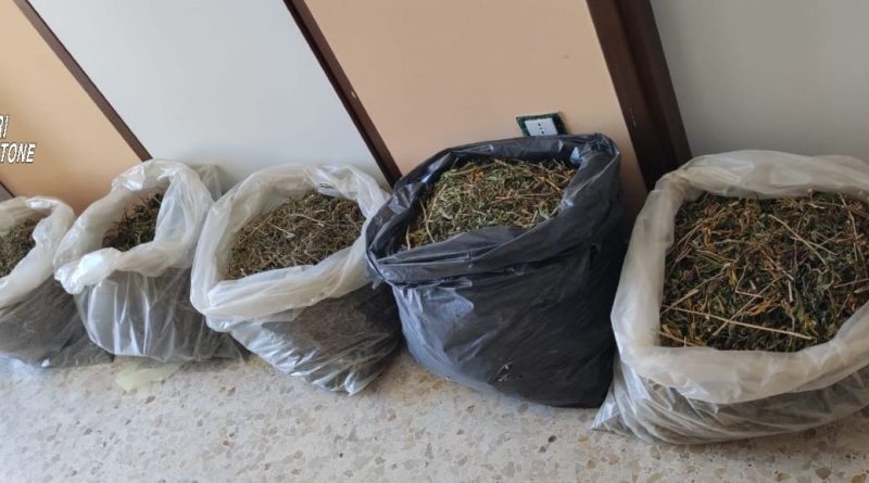 Cirò Marina e Torre Melissa (KR): maxi sequestro di droga e controlli amministrativi nell’area ionica