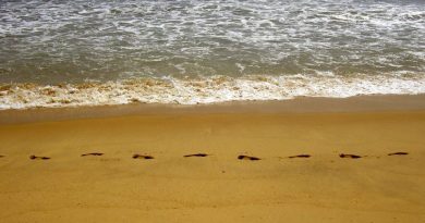 Tragedia a Sellia Marina, donna di 60 anni trovata morta in mare