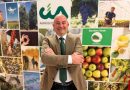Turismo Verde-Cia, Mario Grillo Riconfermato al Vertice: “Agriturismi Motore delle Aree Interne”