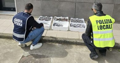 Crotone, pugno di ferro sulla vendita illegale: sequestrati 28 kg di pesce senza tracciabilità